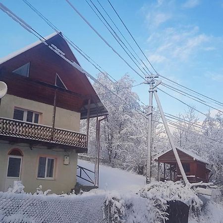 Карпатський Будинок Apartment Izki Bagian luar foto