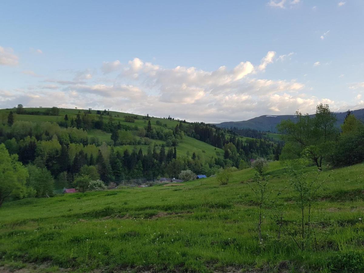 Карпатський Будинок Apartment Izki Bagian luar foto
