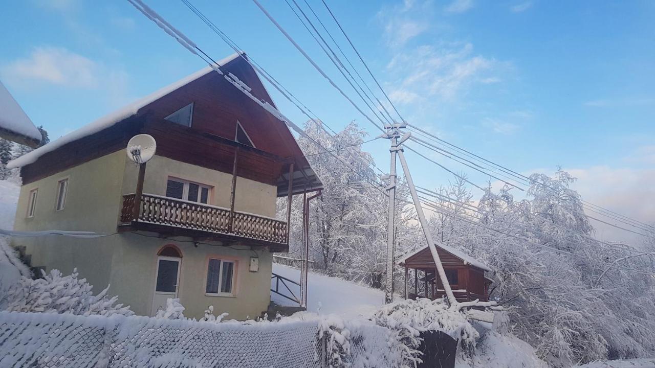 Карпатський Будинок Apartment Izki Bagian luar foto
